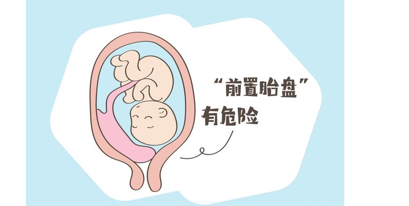 备孕半年没动静？别慌，资深医生陪你聊聊“好孕”那点事
